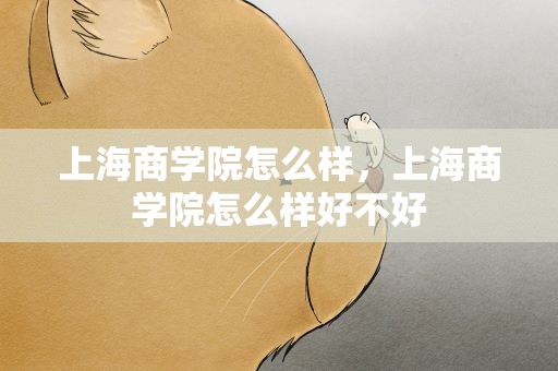 上海商学院怎么样，上海商学院怎么样好不好