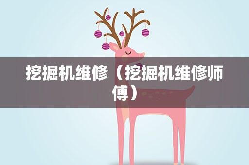 挖掘机维修（挖掘机维修师傅）