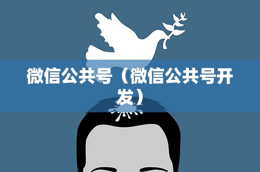 微信公共号（微信公共号开发）