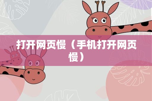 打开网页慢（手机打开网页慢）