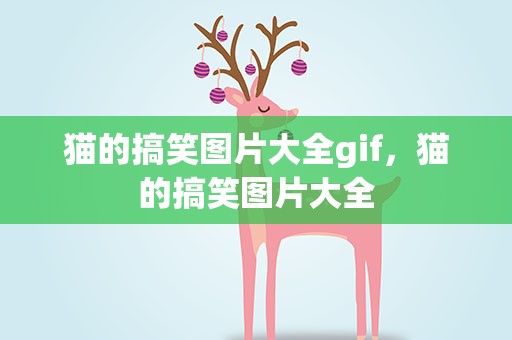 猫的搞笑图片大全gif，猫的搞笑图片大全