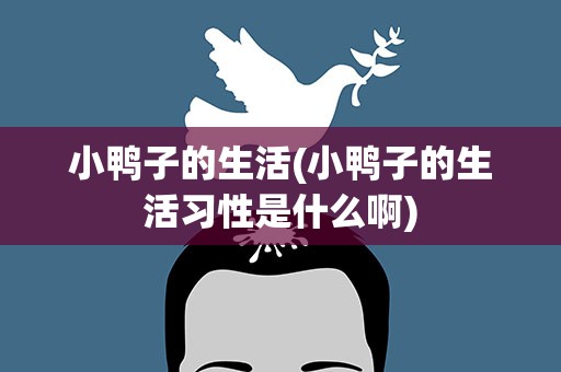 小鸭子的生活(小鸭子的生活习性是什么啊)