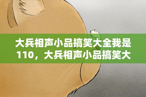 大兵相声小品搞笑大全我是110，大兵相声小品搞笑大全文稿