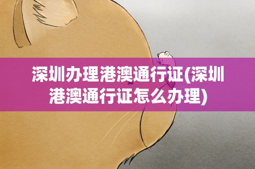 深圳办理港澳通行证(深圳港澳通行证怎么办理)