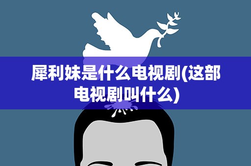 犀利妹是什么电视剧(这部电视剧叫什么)