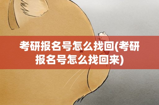 考研报名号怎么找回(考研报名号怎么找回来)