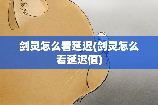 剑灵怎么看延迟(剑灵怎么看延迟值)