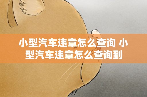小型汽车违章怎么查询 小型汽车违章怎么查询到