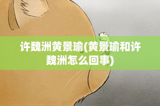 许魏洲黄景瑜(黄景瑜和许魏洲怎么回事)