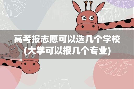 高考报志愿可以选几个学校(大学可以报几个专业)