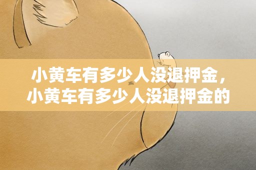 小黄车有多少人没退押金，小黄车有多少人没退押金的