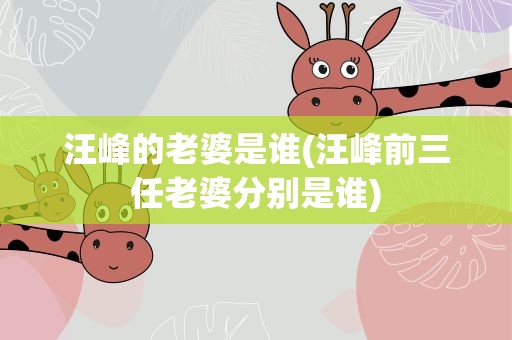 汪峰的老婆是谁(汪峰前三任老婆分别是谁)
