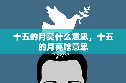 十五的月亮什么意思，十五的月亮啥意思