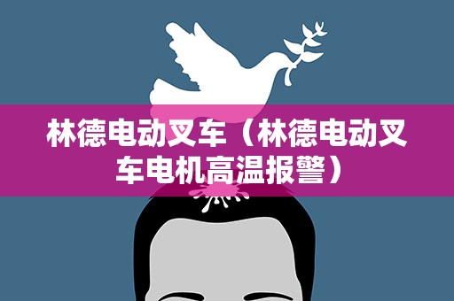 林德电动叉车（林德电动叉车电机高温报警）