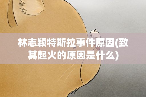 林志颖特斯拉事件原因(致其起火的原因是什么)