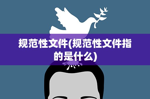 规范性文件(规范性文件指的是什么)