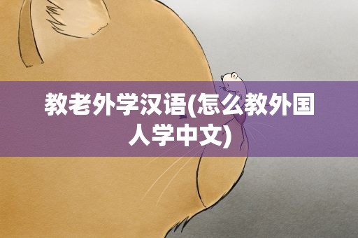 教老外学汉语(怎么教外国人学中文)