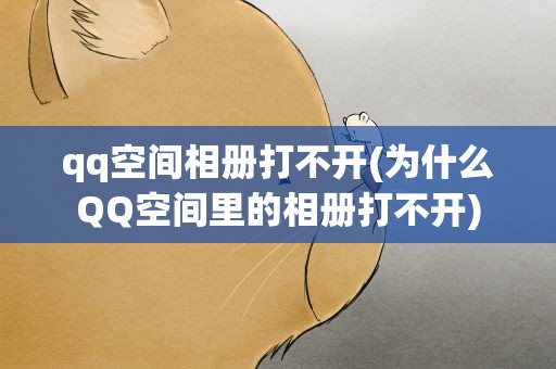 qq空间相册打不开(为什么QQ空间里的相册打不开)