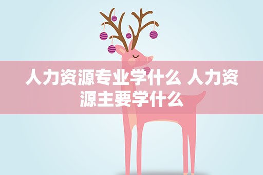 人力资源专业学什么 人力资源主要学什么