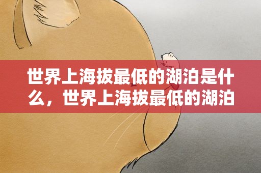 世界上海拔最低的湖泊是什么，世界上海拔最低的湖泊是什么湖