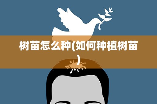 树苗怎么种(如何种植树苗)