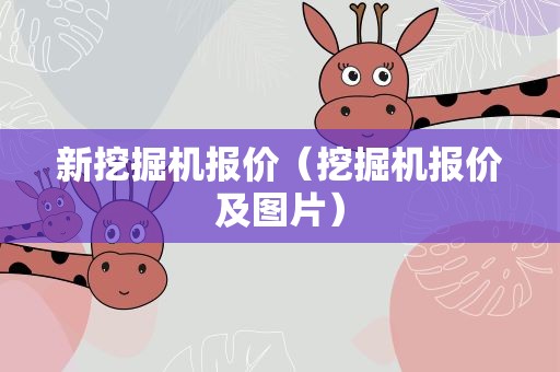 新挖掘机报价（挖掘机报价及图片）