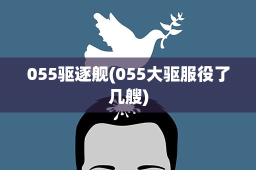 055驱逐舰(055大驱服役了几艘)
