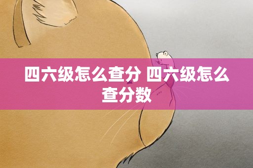 四六级怎么查分 四六级怎么查分数