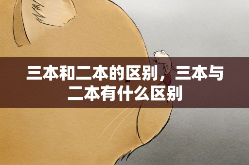 三本和二本的区别，三本与二本有什么区别