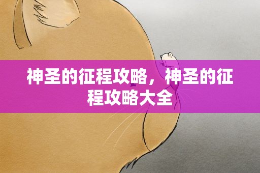 神圣的征程攻略，神圣的征程攻略大全