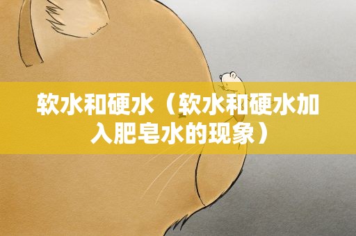 软水和硬水（软水和硬水加入肥皂水的现象）