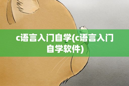 c语言入门自学(c语言入门自学软件)