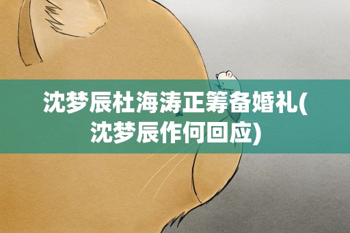 沈梦辰杜海涛正筹备婚礼(沈梦辰作何回应)