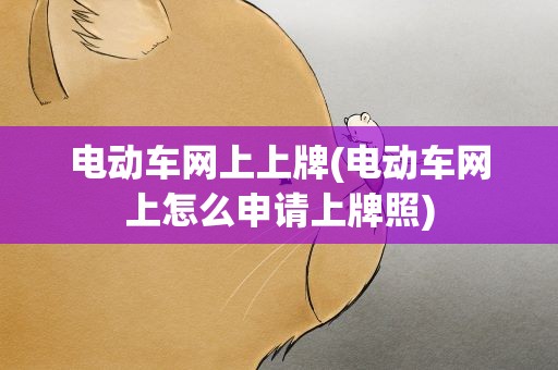 电动车网上上牌(电动车网上怎么申请上牌照)