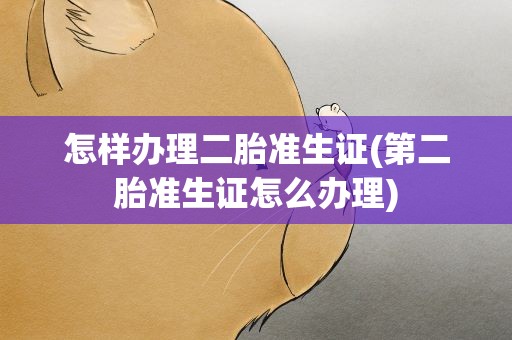 怎样办理二胎准生证(第二胎准生证怎么办理)