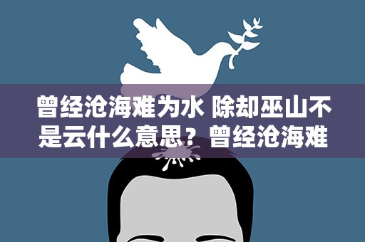 曾经沧海难为水 除却巫山不是云什么意思？曾经沧海难为水除却巫山不是云,是什么意思