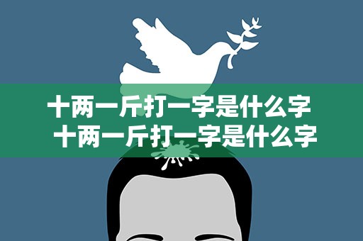 十两一斤打一字是什么字  十两一斤打一字是什么字
