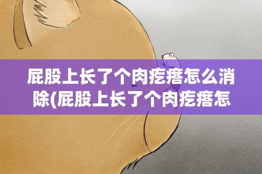 屁股上长了个肉疙瘩怎么消除(屁股上长了个肉疙瘩怎么消除很痛)