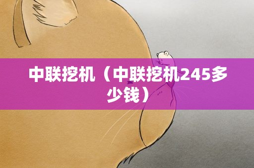中联挖机（中联挖机245多少钱）