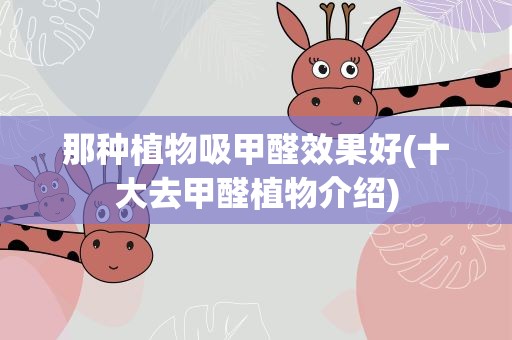 那种植物吸甲醛效果好(十大去甲醛植物介绍)