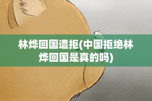 林烨回国遭拒(中国拒绝林烨回国是真的吗)