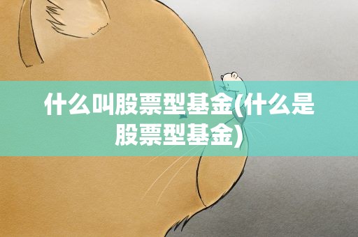 什么叫股票型基金(什么是股票型基金)