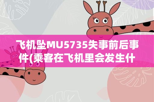 飞机坠MU5735失事前后事件(乘客在飞机里会发生什么)