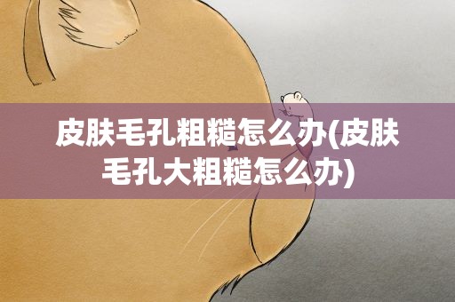 皮肤毛孔粗糙怎么办(皮肤毛孔大粗糙怎么办)