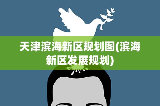 天津滨海新区规划图(滨海新区发展规划)