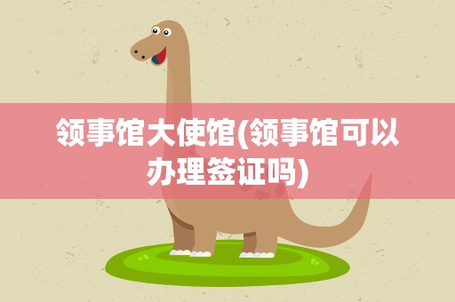 领事馆大使馆(领事馆可以办理签证吗)