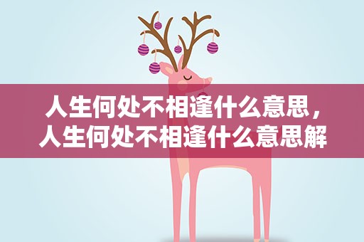 人生何处不相逢什么意思，人生何处不相逢什么意思解释