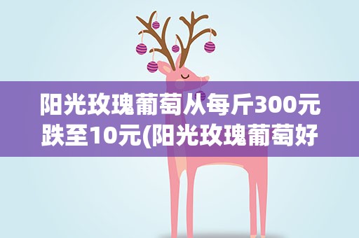 阳光玫瑰葡萄从每斤300元跌至10元(阳光玫瑰葡萄好吃吗)