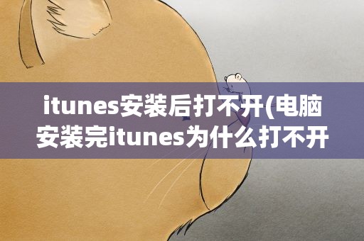 itunes安装后打不开(电脑安装完itunes为什么打不开)