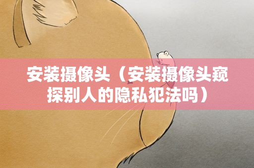 安装摄像头（安装摄像头窥探别人的隐私犯法吗）
